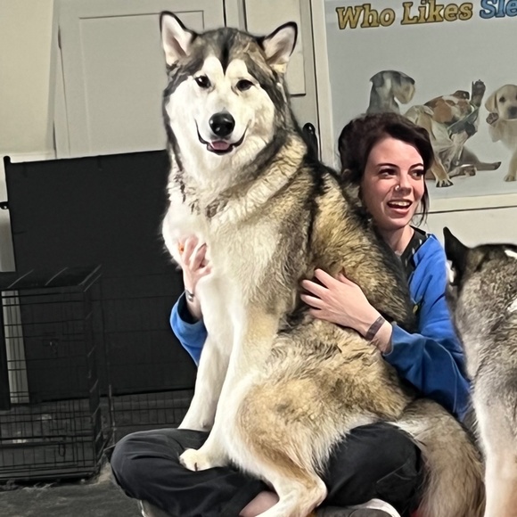 Meet your Posher, Molly - Picture 1 of 3